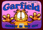 GGImagemGarfield Caught In The Act 01.jpg