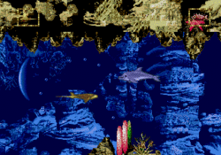 MDImagemEccoJr 02.gif