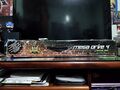 Miniatura da versão das 12h30min de 2 de janeiro de 2021