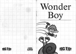 SMSManualWonderBoy.pdf