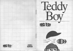 SMSManualTeddyBoy.pdf