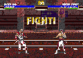 MDImagemMortalKombat3 2.gif