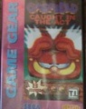 Garfieldcaughtintheact f.jpg