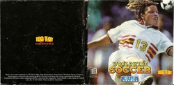 Worldwider Soccer PC TecToy Manual.pdf