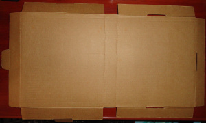 CaixaPapelãoRivenPC02.JPG