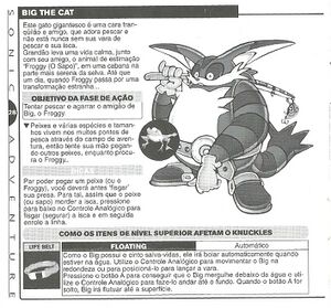 DCManualSonicAdventure28.jpg